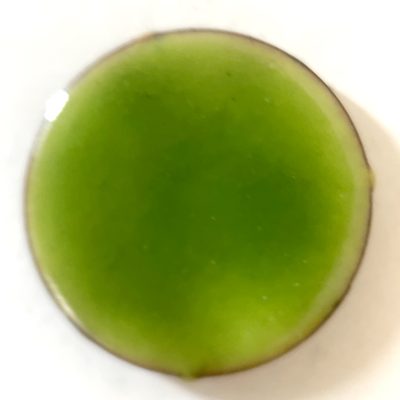 Pearly's Enamel Powder No. 230 Transparent Light Green  3oz. (85gr.) Great for torch/kiln/Cloisonné and Wet Packing Enameling