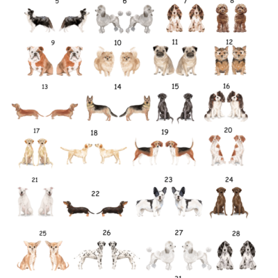 Dogs Ceramic decals - Enamel Decal - Fusible Decal - Glass Fusing Decal ~ Waterslide Decal 4012