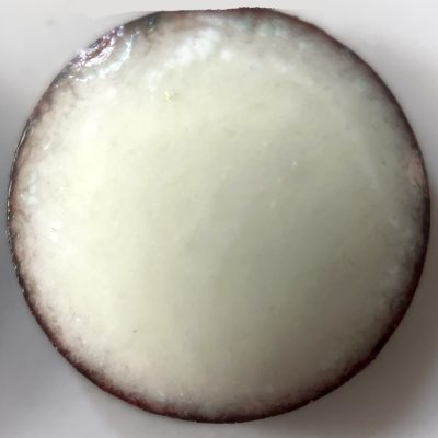 New!!!, Pearly's Enamel Powder No. 307 Opaque Tooth White 3oz. (85gr.) Great for torch/kiln/Cloisonné and Wet Packing Enameling