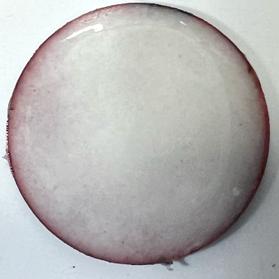 Pearly's Enamel Powder No. #481 Opaque Tooth white 3oz. (85gr.) Great for torch/kiln/Cloisonné and Wet Packing Enameling